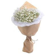 Bouquet of gypsophila