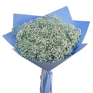 Bouquet of 19 gypsophila