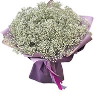 Bouquet of 21 gypsophila