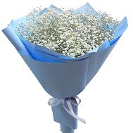 Bouquet of white gypsophila