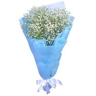 Bouquet of gypsophila