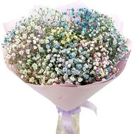 Bouquet of colorful gypsophila