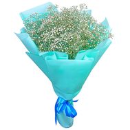 Bouquets of gypsophiles
