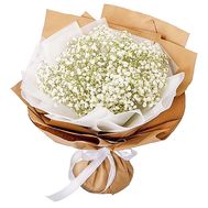 Bouquet of gypsophila