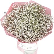 Gypsophila in a bouquet