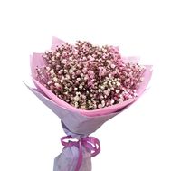 A small bouquet of colorful gypsophila