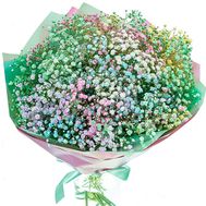 Rainbow gypsophila