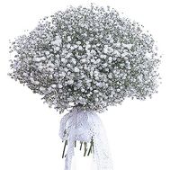 Snowball