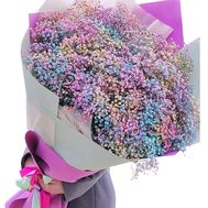101 colorful gypsophila