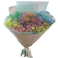 17 rainbow gypsophila