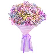 25 multi-colored gypsophila
