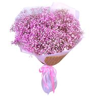 25 pink gypsophila