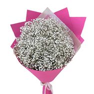35 white gypsophila