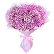 35 pink gypsophila