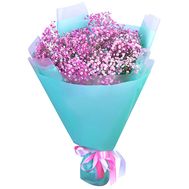 5 pink gypsophila