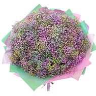 75 colorful gypsophila