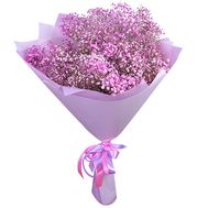 Bouquet of 11 pink gypsophila