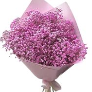 Bouquet of 15 pink gypsophila