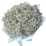 Bouquet of 51 white gypsophila