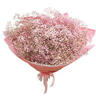 Bouquet of 51 pink gypsophila