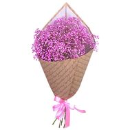 Bouquet of 7 pink gypsophila