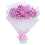Bouquet of pink gypsophila
