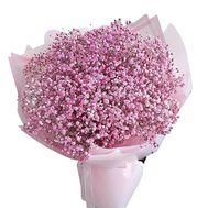 Gypsophila pink in a bouquet