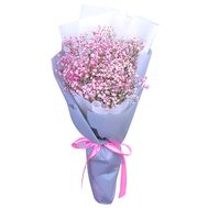 Mini bouquet of gypsophila