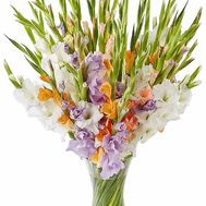 Big bouquet of gladioli