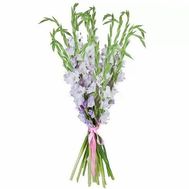 Bouquet of 17 purple gladioli