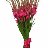 Bouquet of 25 pink gladioluses