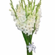Bouquet of white gladioli