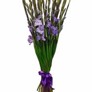 Bouquet of gladiolus flowers