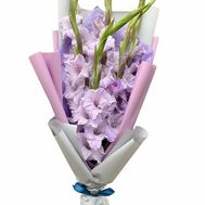 Bouquet of purple gladioli in a package
