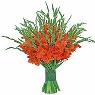 Bouquet of gladioli for a man