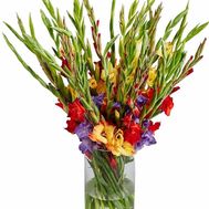 Bouquet of gladioli for a woman's birthday
