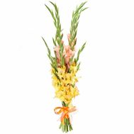 Bouquet of 15 yellow and coral gladioli