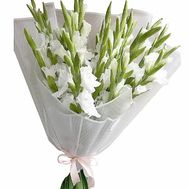 Bouquet of white gladiolus