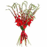 Bouquet of red gladiolus