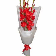 Bouquet of five gladiolus