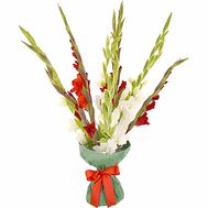 Bouquet of red and white gladiolus