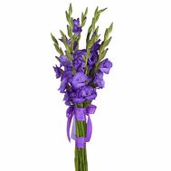 Bouquet of blue gladiolus