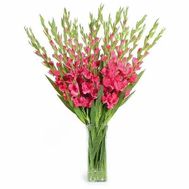 Composition of gladioli in a bouquet