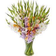 Beautiful bouquet of gladioli