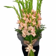 Beautiful bouquet of coral gladiolus