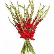 Men's bouquet of gladiolus