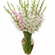 Delicate bouquet of white and pink gladioli