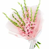 Delicate bouquet of pink gladiolus