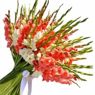Huge bouquet of gladioli