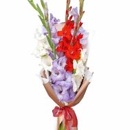 Five multi-colored gladioli